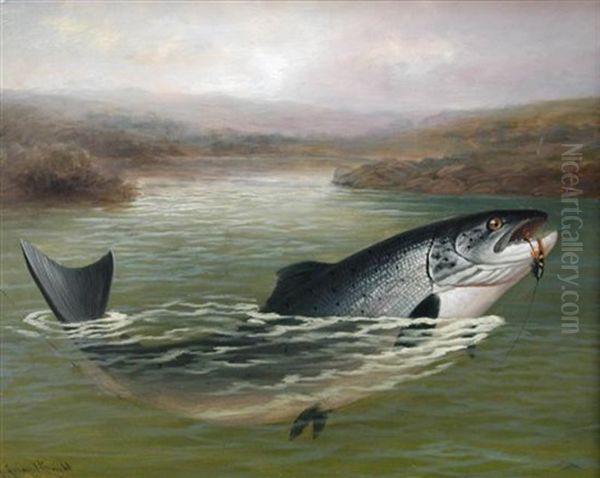 Salmon On The Fly Oil Painting by A. Roland Knight