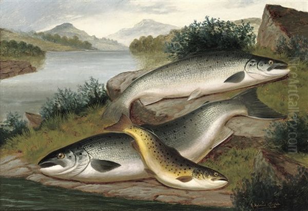 Salmon And Trout Of Loch Awe Oil Painting by A. Roland Knight