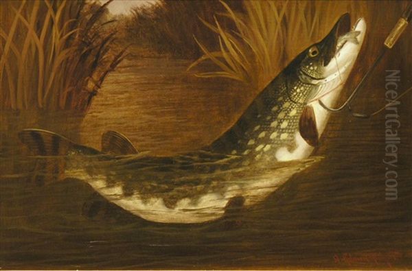 Hecht Mit Koderfisch In Uferlandschaft Oil Painting by A. Roland Knight