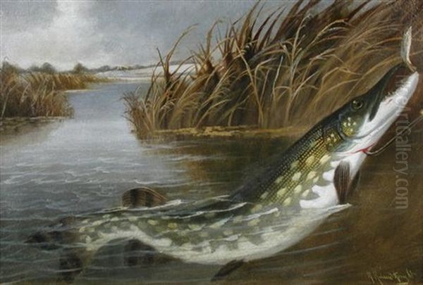 Gaffed Pike Oil Painting by A. Roland Knight