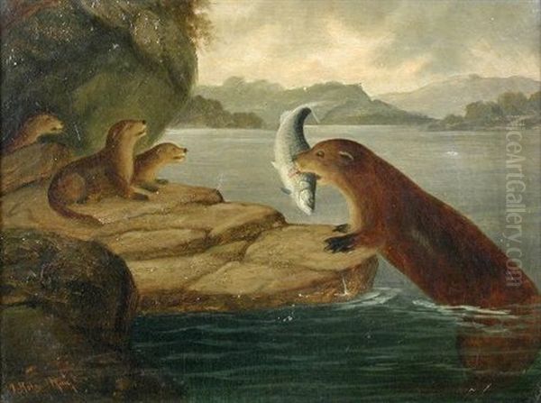 An Otter Feeding Her Cubs Oil Painting by A. Roland Knight