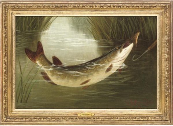 A Brown Trout Coming To The Gaff Oil Painting by A. Roland Knight