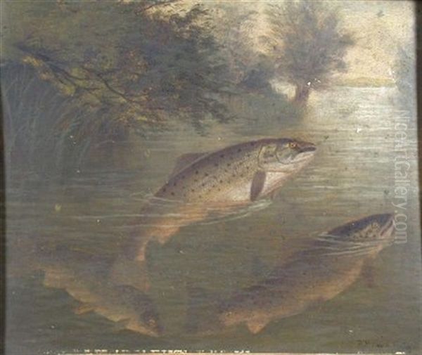 The May Fly Oil Painting by A. Roland Knight