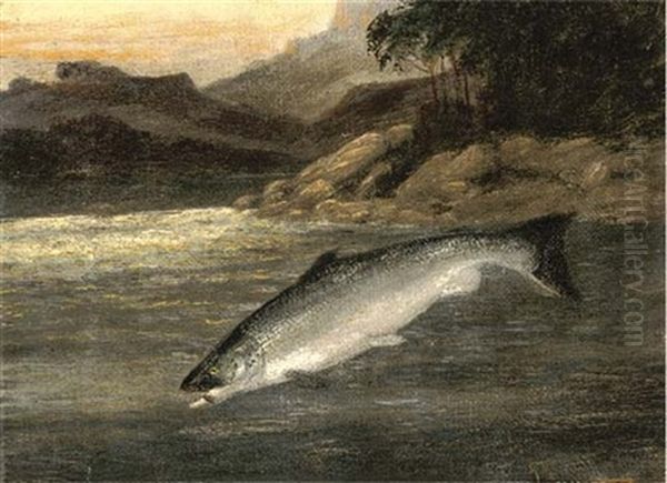 Salmon Rising (+ A Netted Perch; Pair) Oil Painting by A. Roland Knight