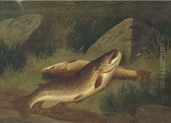 Trout On A River Bank Oil Painting by A. Roland Knight