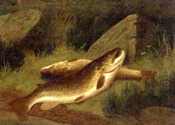 Trout On A River Bank Oil Painting by A. Roland Knight