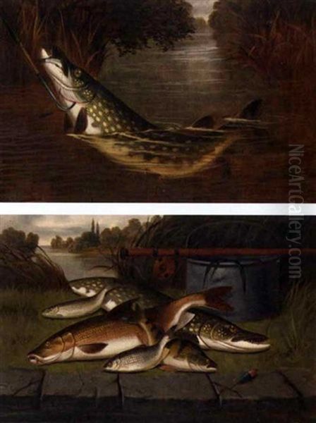 Pike Fishing, Got Him (+ A Tribute From The Thames; Pair) Oil Painting by A. Roland Knight