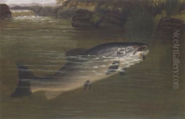 A Hooked Salmon Oil Painting by A. Roland Knight