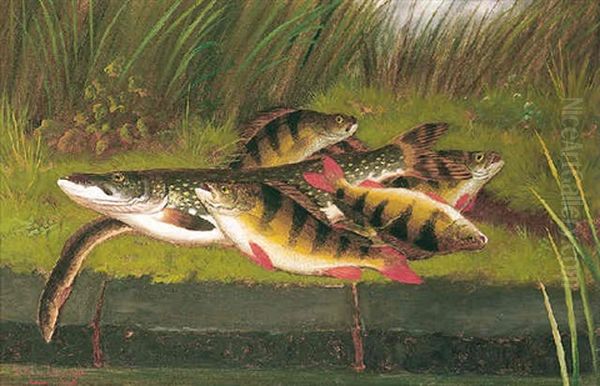 Perch And Pike Oil Painting by A. Roland Knight