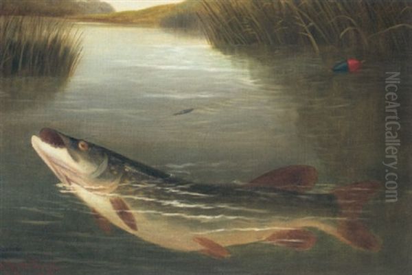 Pike Fishing Oil Painting by A. Roland Knight