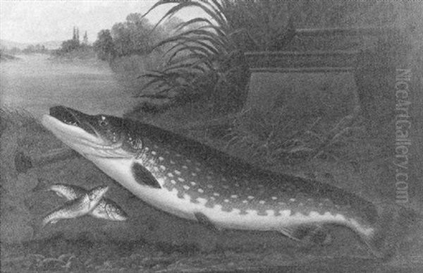 Pike On A Reeded River Bank With Bait Kettle Oil Painting by A. Roland Knight