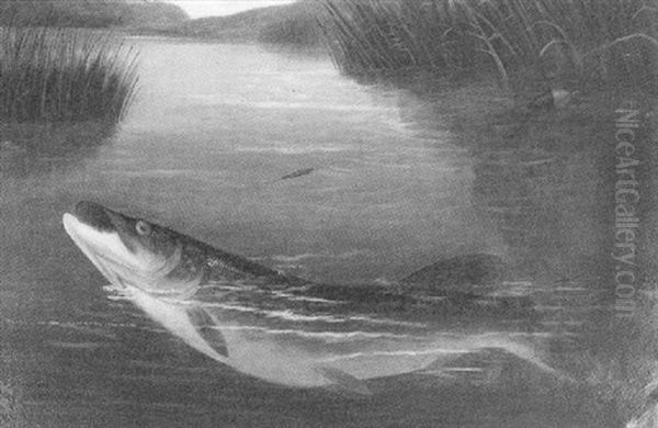 A Pike Caught On A Line Oil Painting by A. Roland Knight