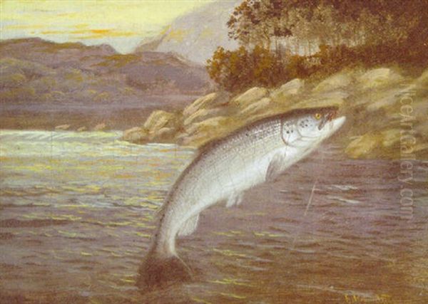 A Salmon Leap Oil Painting by A. Roland Knight