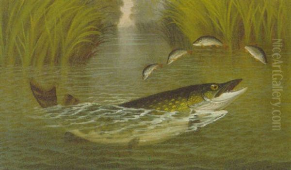 A Pike And Perch Oil Painting by A. Roland Knight