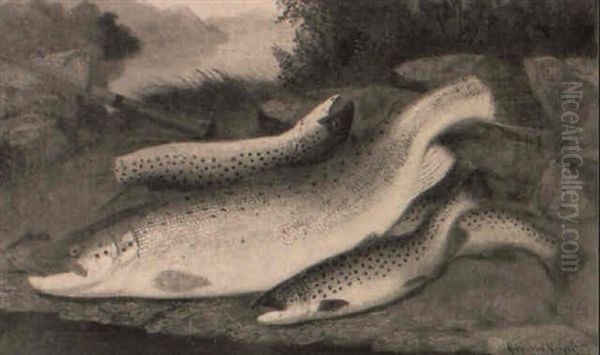 Salmon And Trout Oil Painting by A. Roland Knight