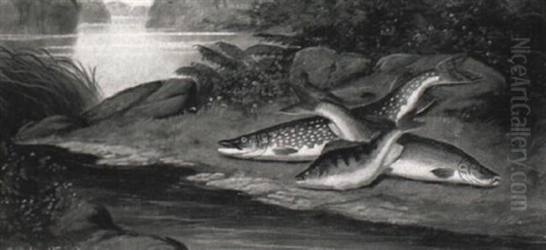 A Pike Chasing A Trout by A. Roland Knight