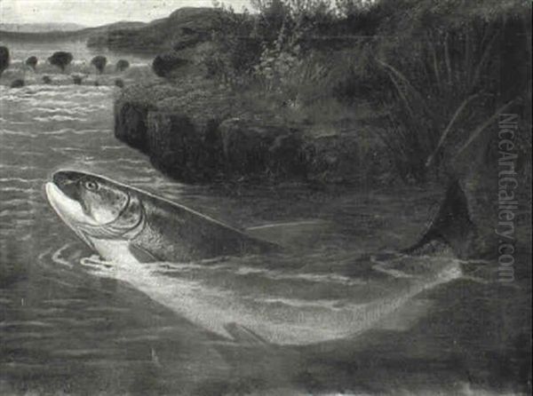 Hooked Salmon Oil Painting by A. Roland Knight