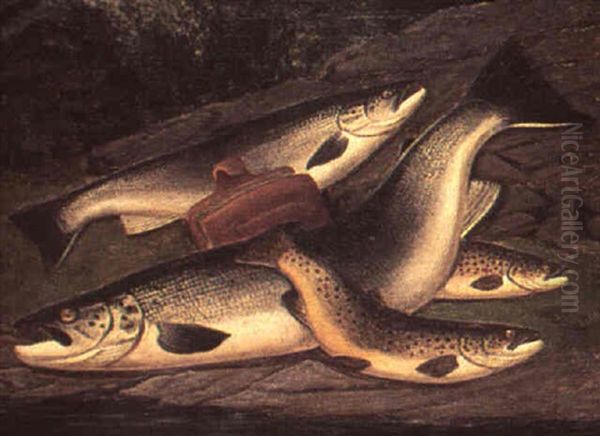 Still Life Of Salmon And Brown Trout On A Bank Oil Painting by A. Roland Knight