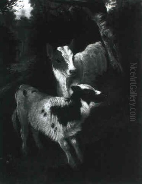 Calves Oil Painting by A. Roland Knight