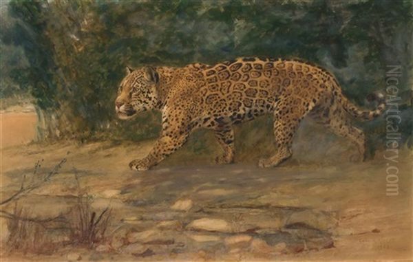 Leopard by Charles Robert Knight