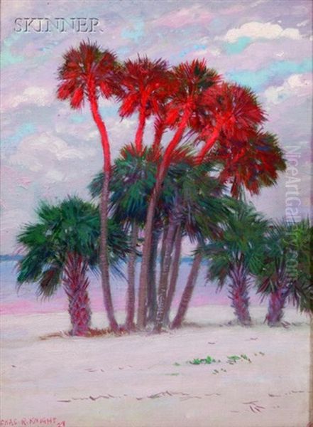 Sunset Glow, Miami Florida by Charles Robert Knight