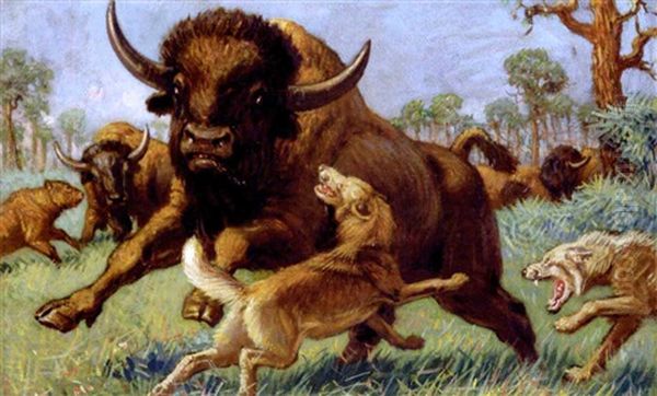 Bison And Wolves by Charles Robert Knight