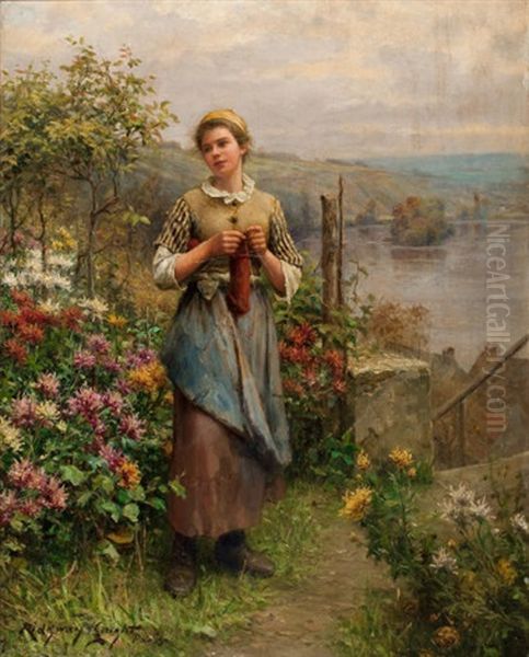 Young Woman Knitting Oil Painting by Daniel Ridgway Knight