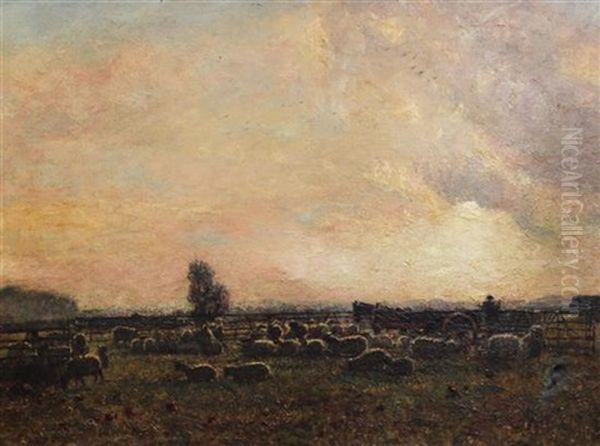 Sheep In A Meadow At Sunset Oil Painting by John William Buxton Knight