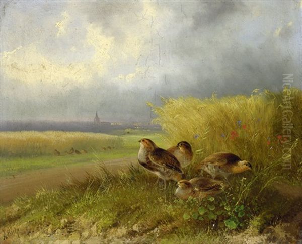 Rebhuhner Neben Einem Getreidefeld Oil Painting by August Knip