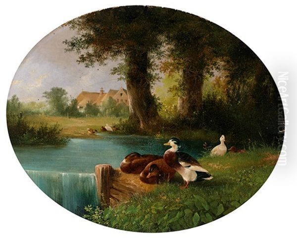 Enten An Einem Teich, Im Hintergrund Reetgedecktes Gehoft Oil Painting by August Knip