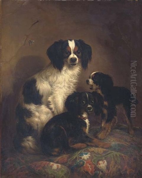 Three King Charles Spaniels Oil Painting by August Knip