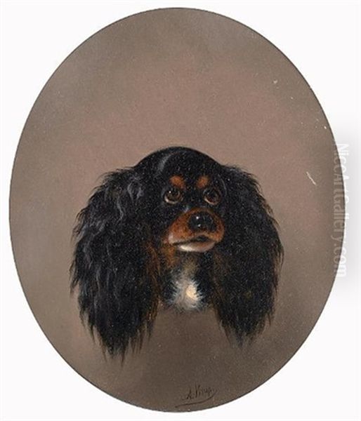 Tri Color King Charles Spaniel Oil Painting by August Knip