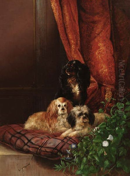 Zwei Spaniels Und Ein Terriermischling Auf Einem Kissen Vor Drapiertem Hintergrund Oil Painting by August Knip