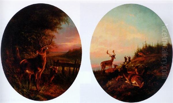 Deer In A Woodland Clearing Oil Painting by August Knip