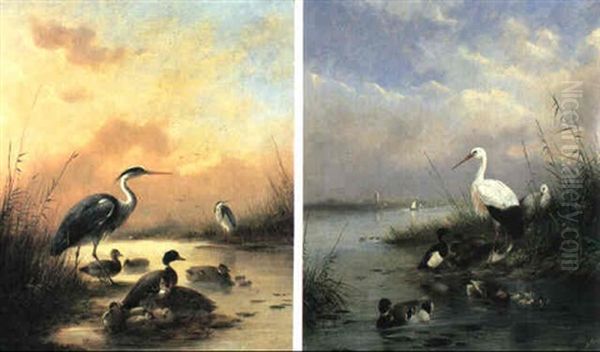 Family Of Mallard And Two Herons by August Knip