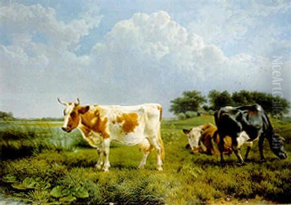 Cows Grazing In A Field Oil Painting by Joseph Augustus Knip