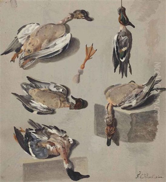 Studies Of A Teal Duck And Other Wild Duck (recto); A Seated Man Reading (verso) Oil Painting by Franciscus Cornelis Knoll