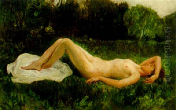 A Reclining Female Nude In A Meadow Oil Painting by Imre Knopp