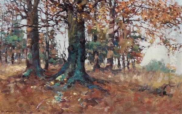 Beech Wood In Autumn Oil Painting by Elizabeth Annie Mcgillivray Knowles