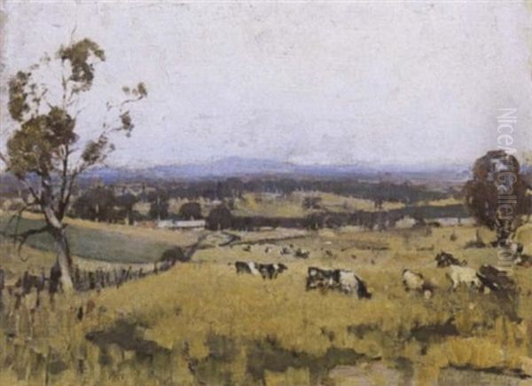 Grazing Paddocks by William Dunn Knox