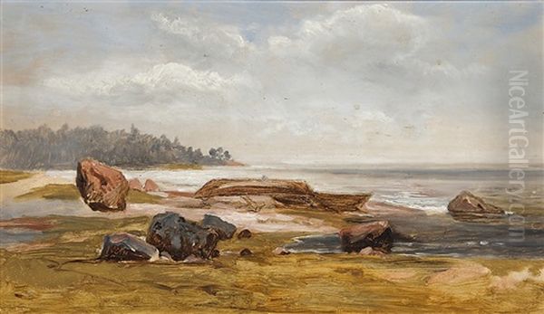 Desolate Shore Oil Painting by Johan Knutson