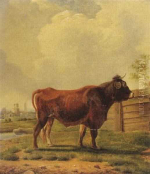 Stier Auf Der Weide Oil Painting by Alfred De Knyff