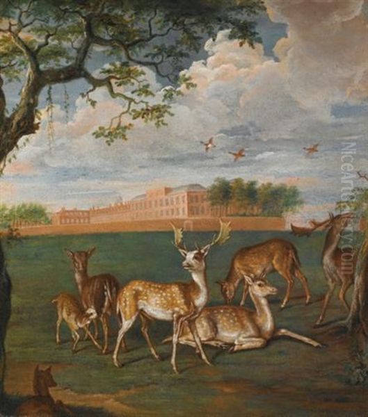 Fallow Deer In The Royal Park, Kensington Oil Painting by Jacob Knyff