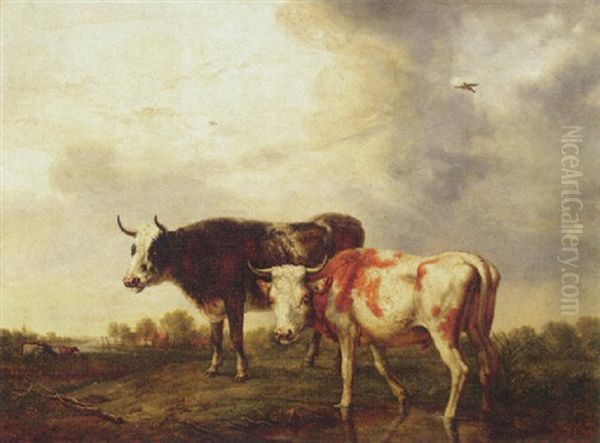 Cows In A Meadow Oil Painting by Jan Kobell III