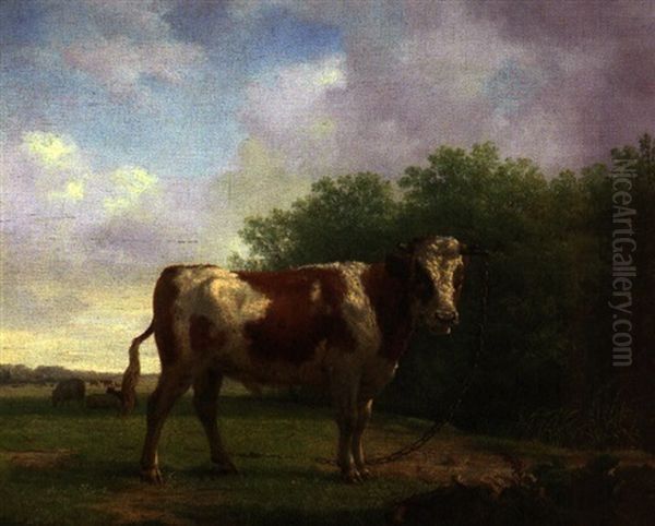 Stier In Besonnter Weidelandschaft Mit Weitem Blick In Das Land Oil Painting by Jan Kobell the Younger