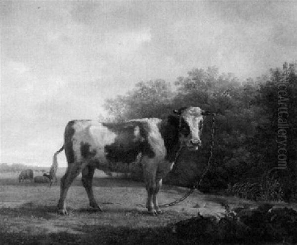 Stier Auf Der Weide Oil Painting by Jan Kobell the Younger