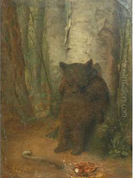 The Bashful Bear Oil Painting by William Holbrook Beard