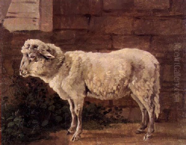 Stehendes Schaf Oil Painting by Wilhelm Alexander Wolfgang von Kobell