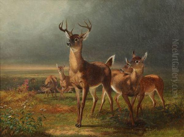 Deer On The Prairie Oil Painting by William Holbrook Beard