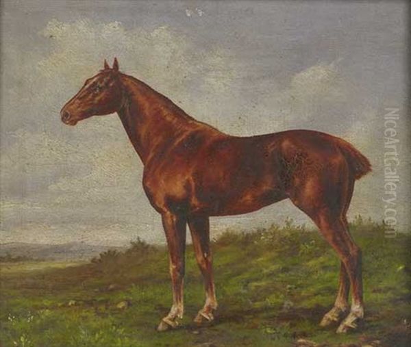 Stehendes Pferd Von Links Auf Einer Wiese Oil Painting by Georg Karl Koch